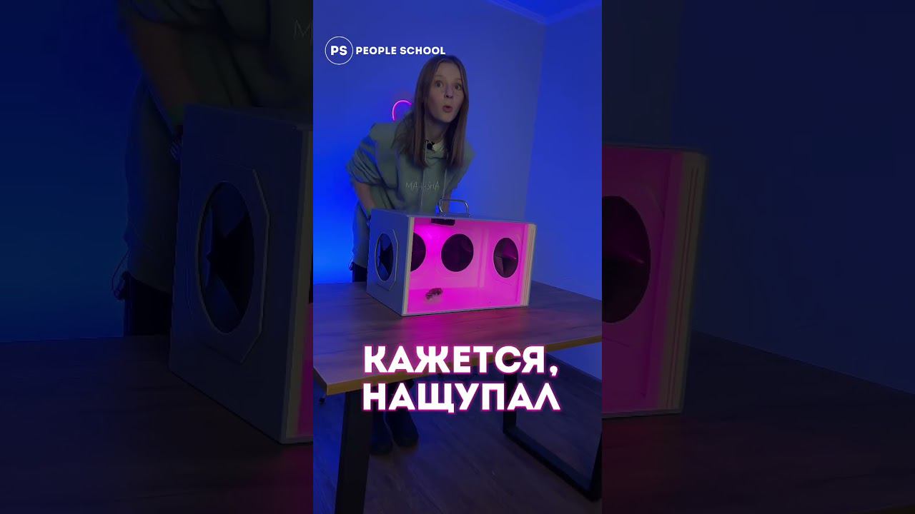 НОВЫЕ ШОУ смотреть онлайн