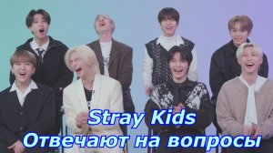 [Русская озвучка] Stray Kids - Лучшие друзья из лучших! | Seventeen
