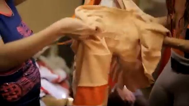 Дима одевает костюм Шантеклера смотреть онлайн