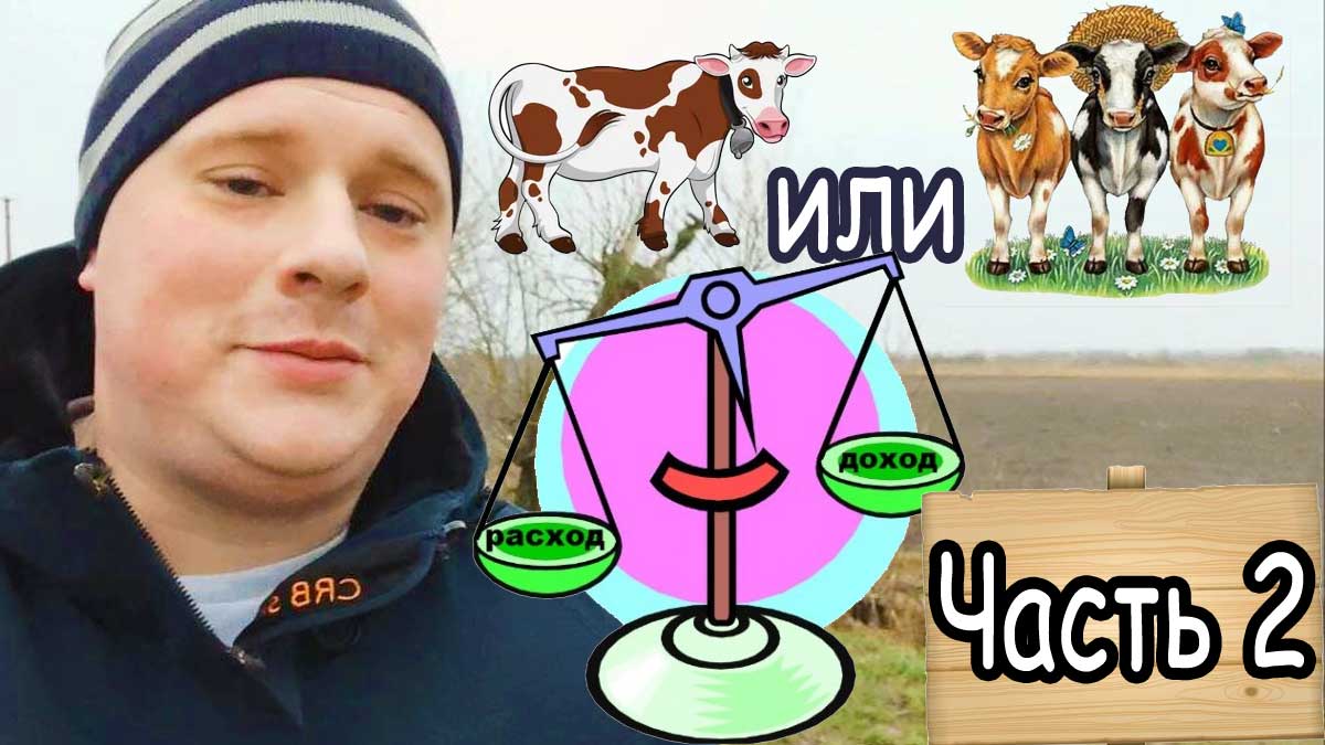 Часть 2 Почему не стоит держать только одну корову/ Куда девать молоко/ Расходы и доходы от продаж