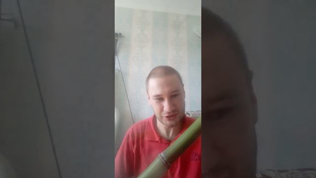 Заготовка для трости из бамбука