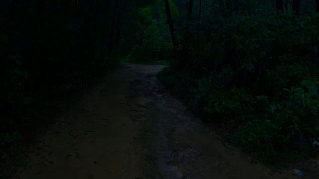 Пейзаж дождливого дня Преодоление бессонницы Лучший звук дождя для глубокого сна ASMR белый шум смотреть онлайн