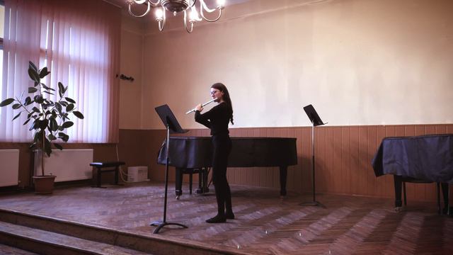G. Ph. Telemann Fantasia for flute solo, No. 2, A minor - Aurelia Suldac смотреть онлайн