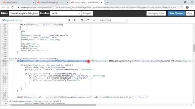How To Remove ‘rogueads.unwanted_ads’ (Malware) from WordPress Website смотреть онлайн