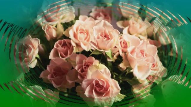 Для самой прекрасной девушки-эти розы! смотреть онлайн