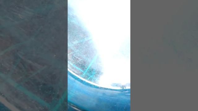 Нашли ревайф феникса отдал другу смотреть онлайн