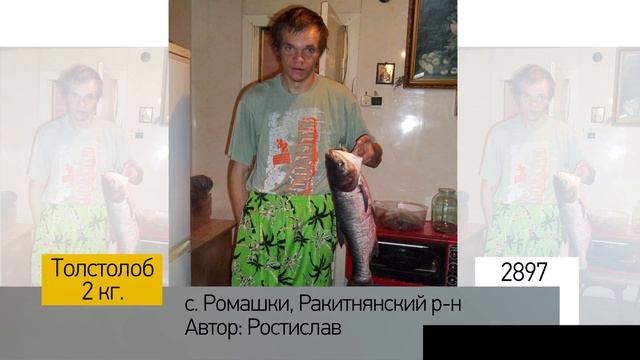 Фотоальбом - Рыбалка №579 смотреть онлайн