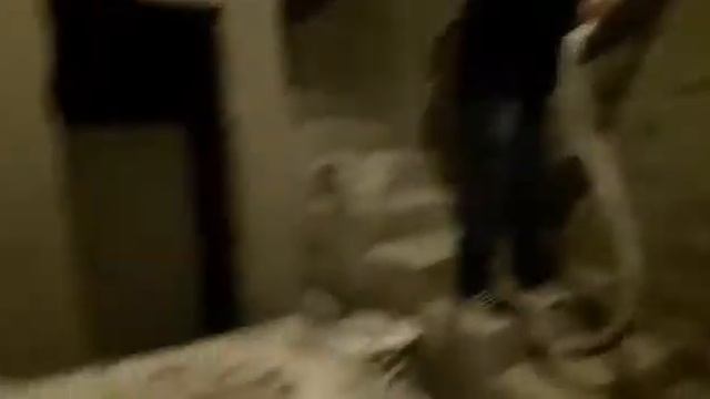 Штукатурная станция SertaMaster Novator 220v в работе