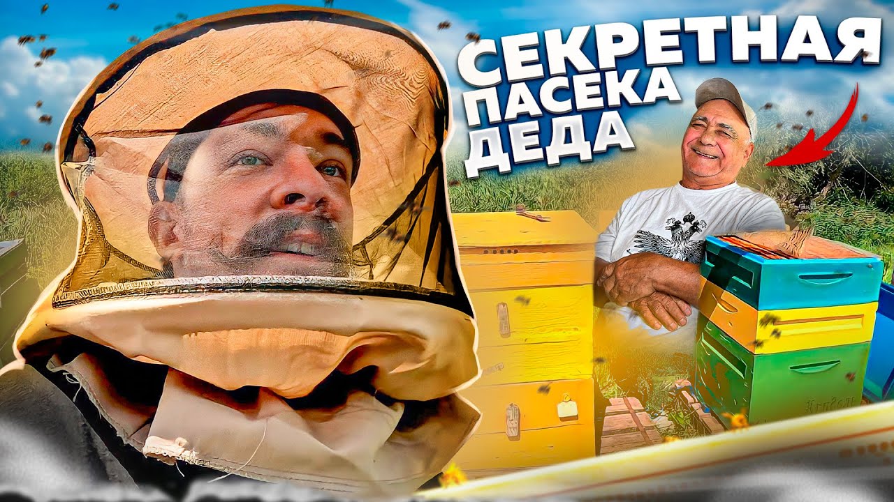 БЛУД НА СЕКРЕТНОЙ ПАСЕКЕ ДЕДА смотреть онлайн