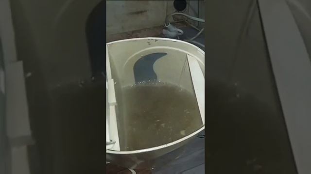 как почистить электрический чайник от накипи смотреть онлайн