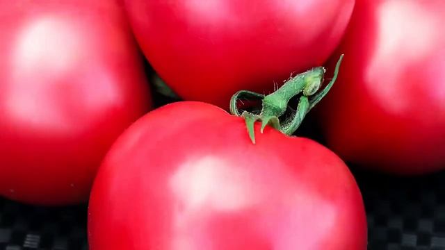 Томат Розовые вершины F1 смотреть онлайн