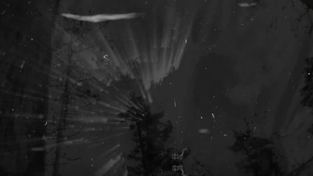 LABYRINTH ENTRANCE - Absence of Light Surrounding (Track Stream) смотреть онлайн