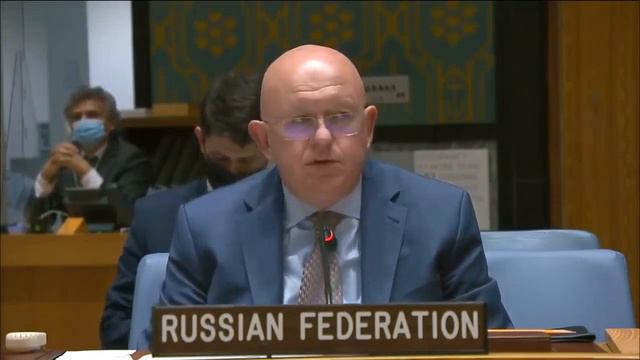 Небензя РАЗМАЗАЛ посла Боснии и Герцеговины в Совбезе ООН смотреть онлайн