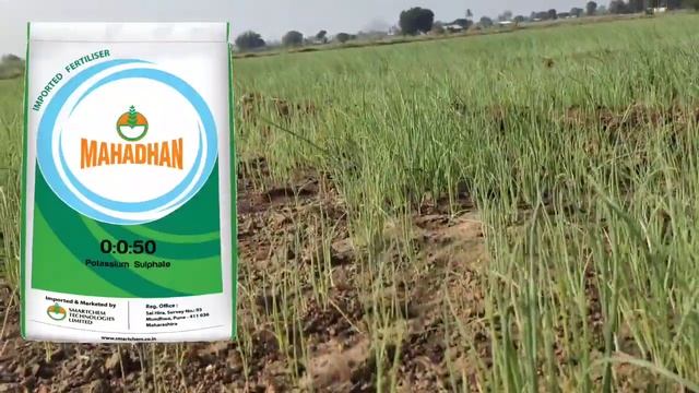 0.0.50 water soluble / 0.0.50 Fertilizer / 0.0.50 विद्राव्य खत बद्दल माहिती योग्य वापर आणि प्रमाण смотреть онлайн