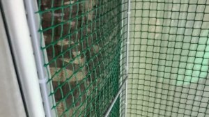 Мой новый орхидариум