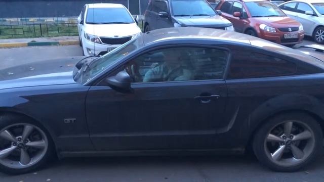 Последнее прощание с конем Mustang GT 2006 смотреть онлайн