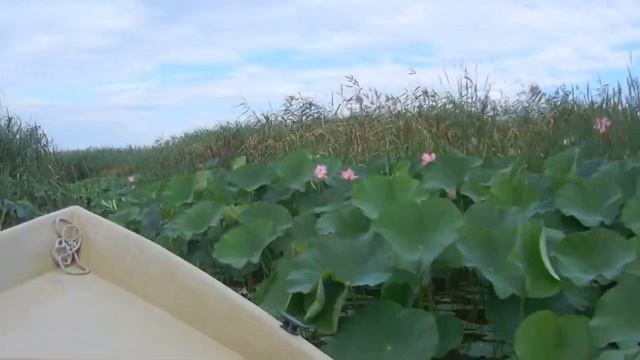 Путешествие по дельте Волги..2015 .1. смотреть онлайн