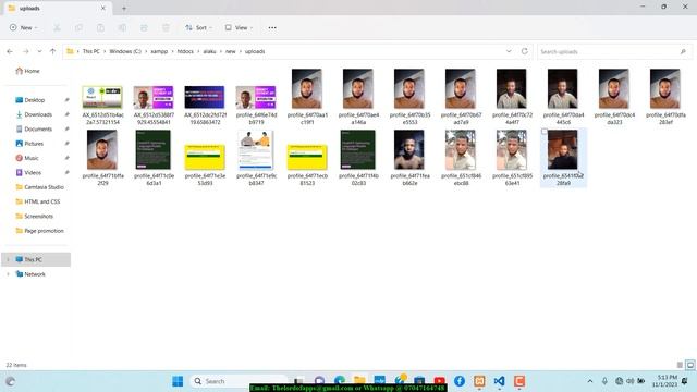 Troubleshooting: Fixing Database Image Display Problems смотреть онлайн