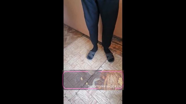 Разговор в квартире хозяина Тяпы смотреть онлайн