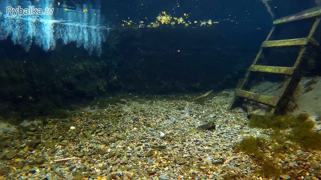 Съедобная резина Keitech Swing Impact. Отводной поводок и джиг смотреть онлайн