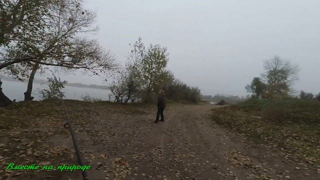 ОКУНЬ НА ТЭЙЛ-СПИННЕР. Обловили новые приманки. смотреть онлайн