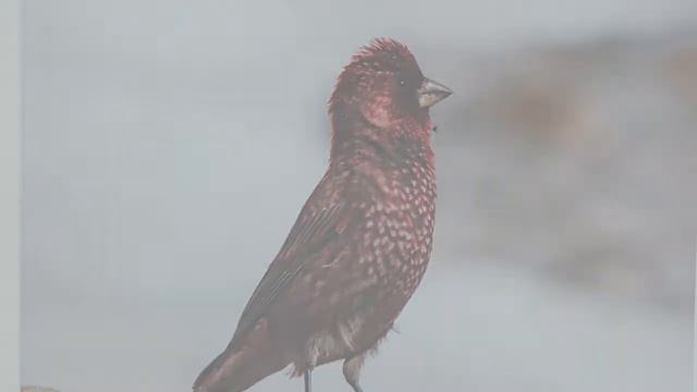 30 09 2019 природа кавказ 28минут04 сек смотреть онлайн