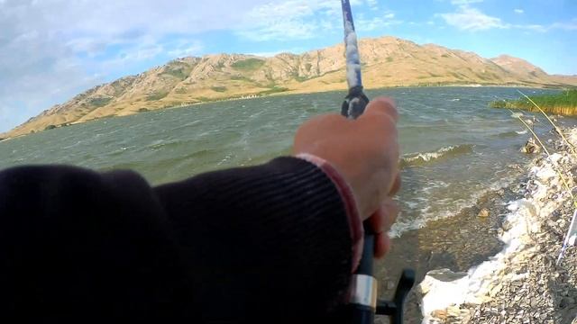 Бешеный клев. Озеро Караколь ВКО рыбалка. смотреть онлайн