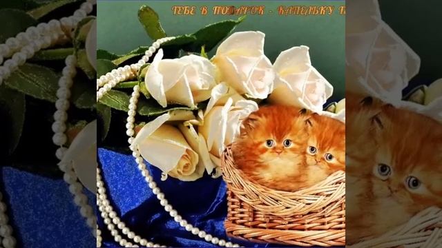 Капелька счастья смотреть онлайн