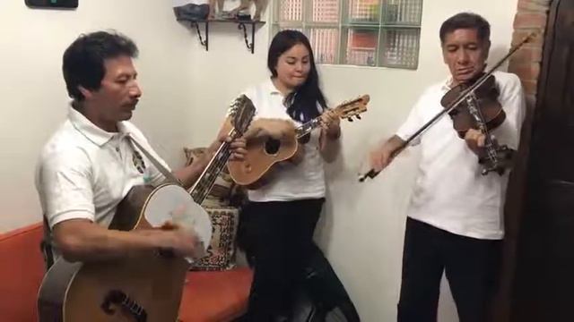 Son Tradicional - " Tlachiquero" - Autor: Luis Muñoz - Nómadas de Hidalgo смотреть онлайн