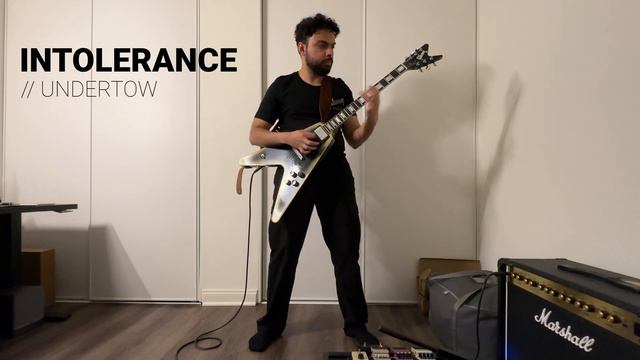 Adam Jones Flying V - Undertow Riffs смотреть онлайн