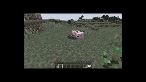 ?Майнкрафт но Я Стала Помощником ОВЕЧКОЙ