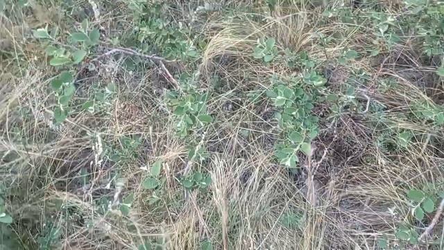 спец поход на гору смотреть онлайн