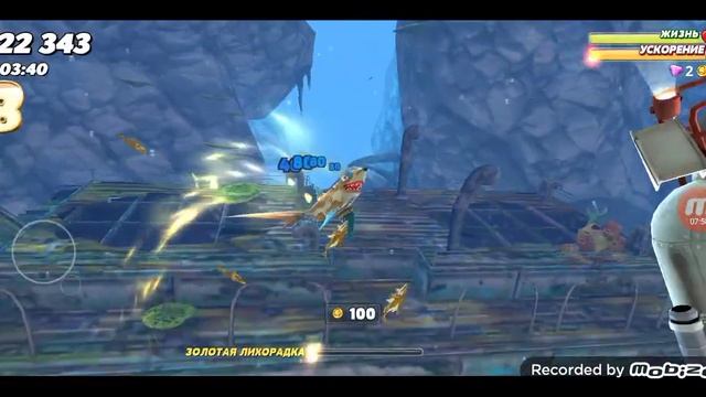 обзор акул в игре hungry shark world - лисья акула смотреть онлайн