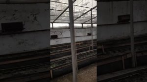 Подземная теплица. Ошибки часть -2