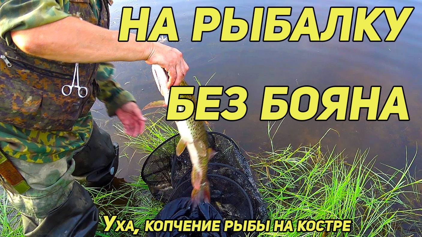 НА РЫБАЛКУ ОПЯТЬ БЕЗ БАЯНА. РЫБАЛКА НА ЩУКУ И КАРАСЯ, УХА, КОПЧЕНАЯ РЫБА В ПОХОДЕ смотреть онлайн