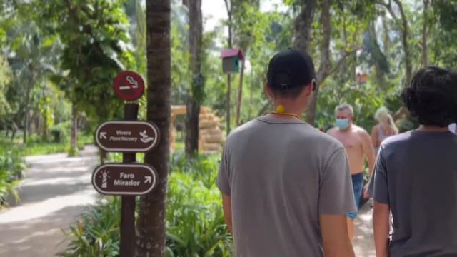 Xel Ha Ecological Park// Plus How We Eat Plant Based At Their Buffets// The Starch Solution смотреть онлайн