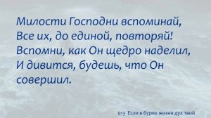 013 Если в бурях жизни дух твой