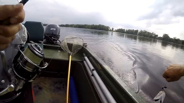 Vlog # 9 Честный Тест FAVORITE SKYLINE Sky-832L!!! жерех, окунь, сом ! смотреть онлайн