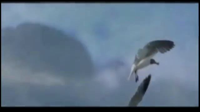 Сергей Парамонов - Как мало нам осталось для любви