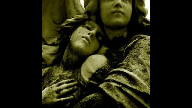 How Terrible It Is To Love Something That Death Can Touch