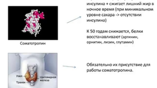 4 Зачем нужны белки смотреть онлайн