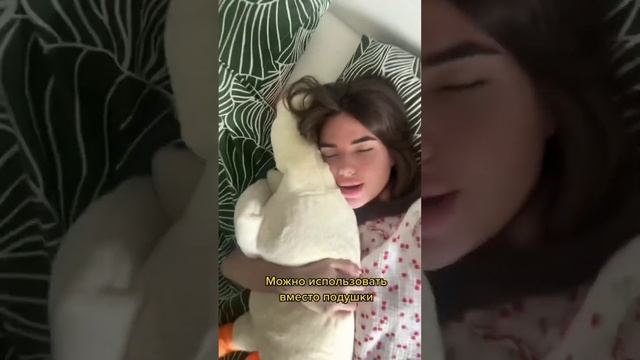 ГУСЬ-ОБНИМУСЬ смотреть онлайн