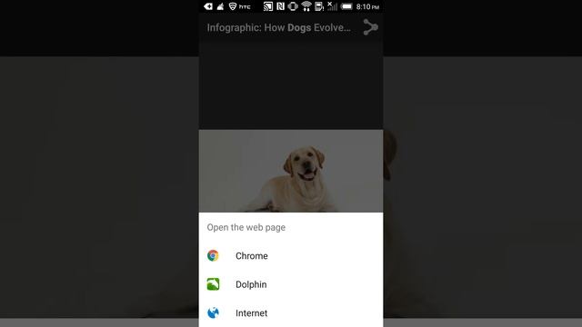 Image Search App Demo смотреть онлайн