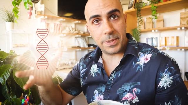 Ethiopia Yirgacheffe Coffee Review