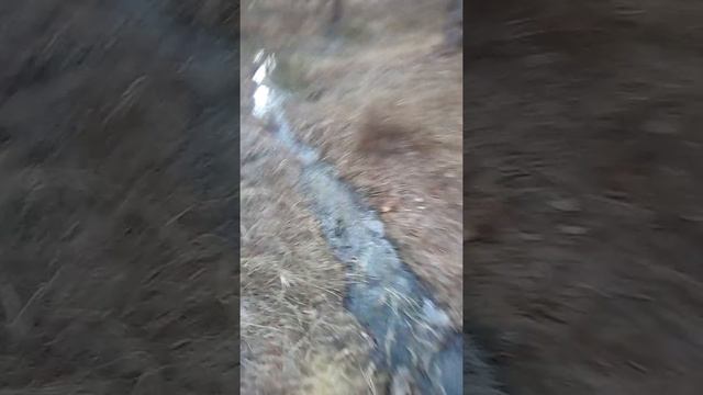 Очистные сооружения в Козельске смотреть онлайн