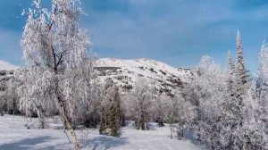 "Три белых коня"