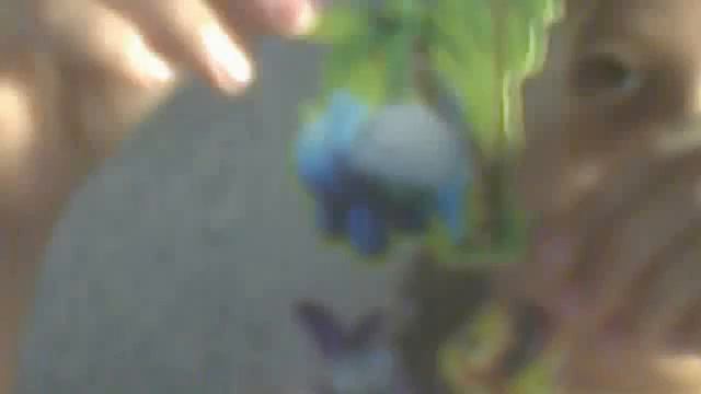 Видео с веб-камеры. Дата: 28 августа 2012 г., 20:35. смотреть онлайн