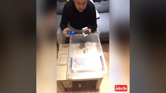 How to fix a (RI) upper respiratory infection in a ball python easy step by step смотреть онлайн