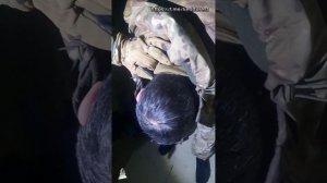 Допрос азовца навозца