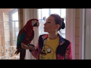 Мы купили дом для нашей большой семьи!) И как положено пустили первыми через порог наших "кошек"!)